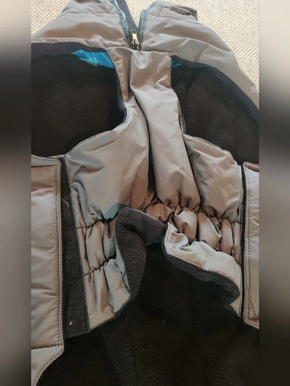 Large Dog Jacket - Gray with Teal Trim